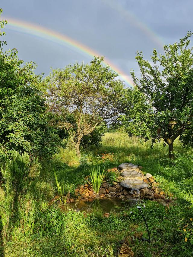 Arc en ciel